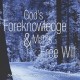 God's Foreknowledge & Man's Free Will